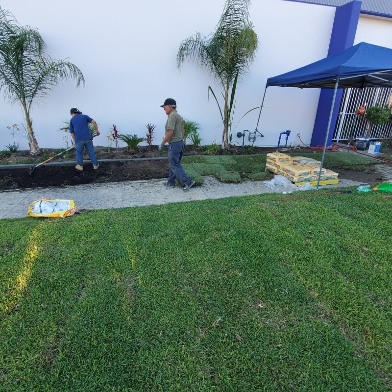 Resized_20190803_180706