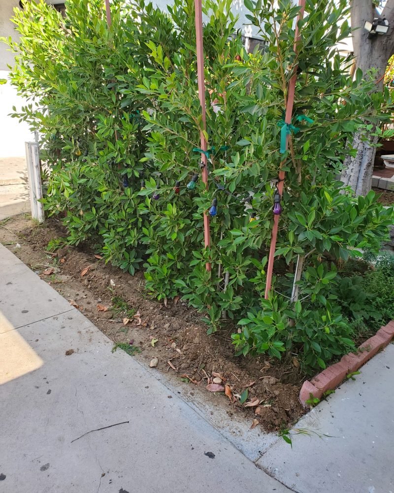 Resized_20191014_111200