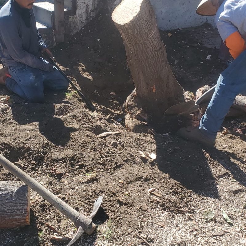 Resized_20221106_122615