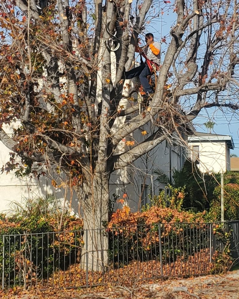 Resized_20221226_085916